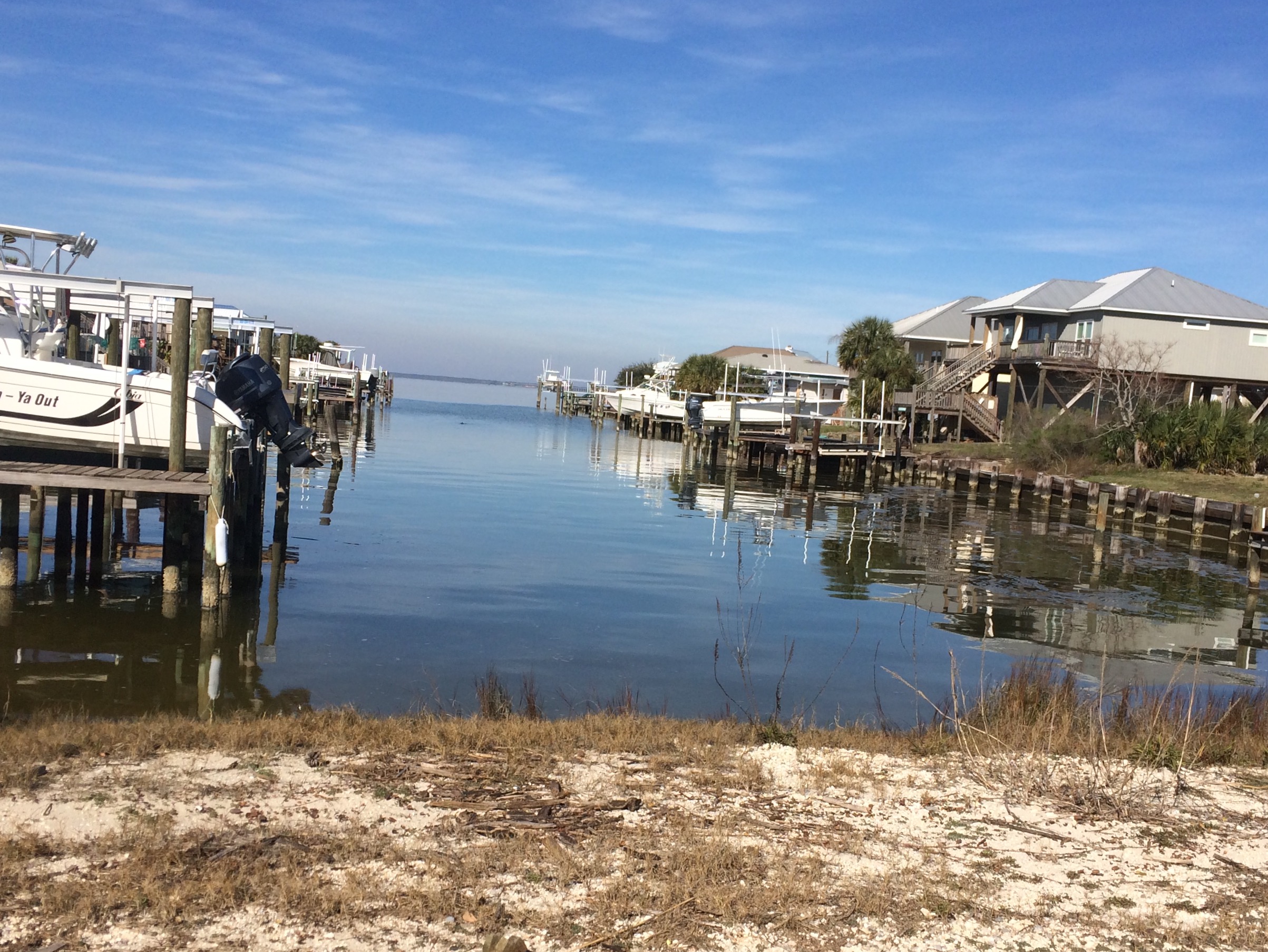 Dauphin Island, Alabama Kiger Tales