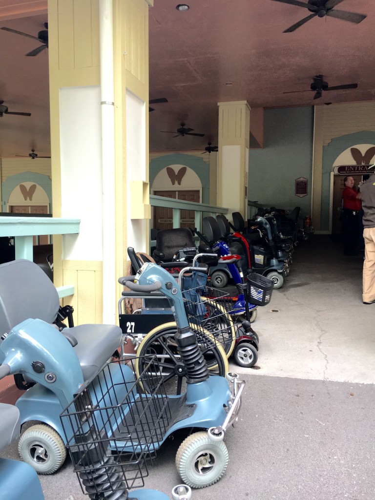 Dollywood Kiger Tales